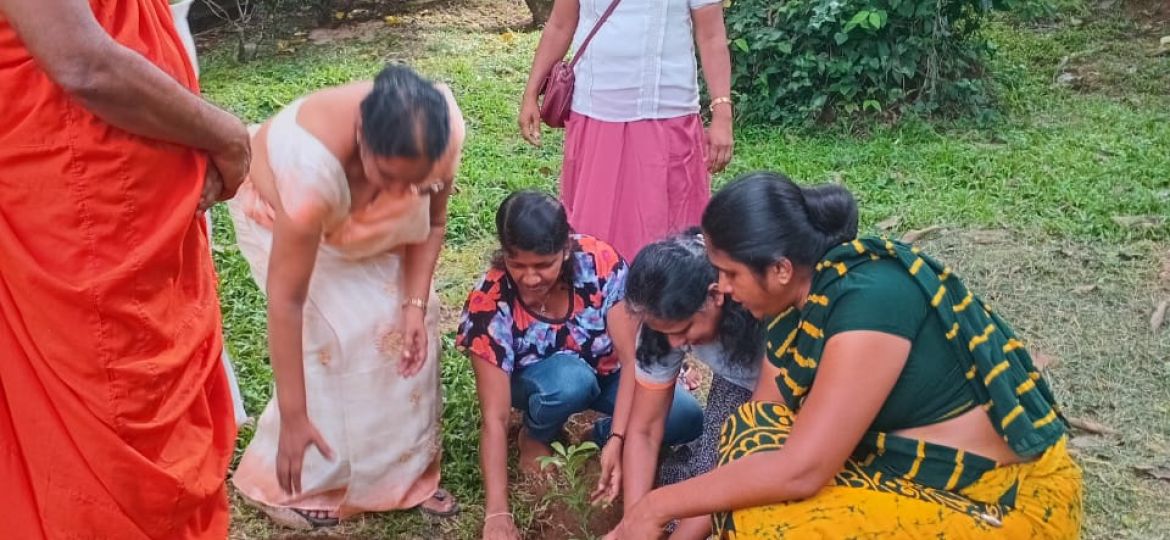 2025.06.05 වන දින උයන්වත්ත රජ මහා විහාරස්ථානයේ දී සිදු කරනු ලැබූ රුක් රෝපණ වැඩසටහන.
