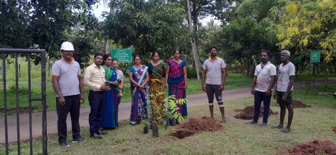 ජුනි මස 05 වන දිනට යෙදුනු පරිසර දිනය නිමිත්තෙන් කොම්පොස්ට් අංගනයේ රුක් රෝපණ වැඩසටහන (2025.06.05)